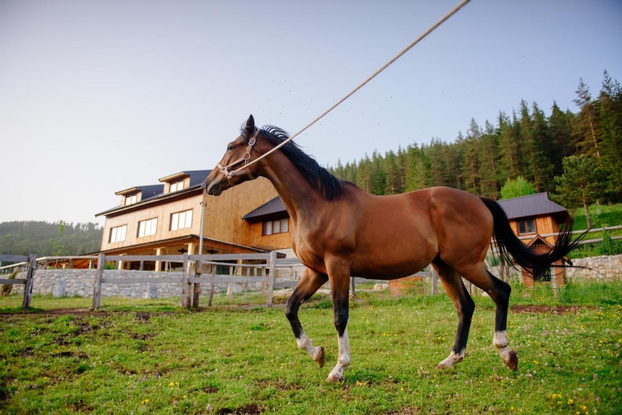 Etno Selo Zminica Hotel Zabljak  Bagian luar foto